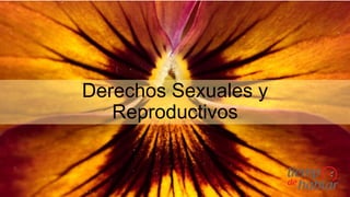 Derechos Sexuales y
Reproductivos
 