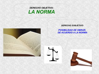 DERECHO OBJETIVO:

LA NORMA
DERECHO SUBJETIVO:

POSIBILIDAD DE OBRAR,
DE ACUERDO A LA NORMA

 