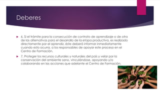 Deberes
 6. Si el trámite para la consecución de contrato de aprendizaje o de otra
de las alternativas para el desarrollo de la etapa productiva, es realizado
directamente por el aprendiz, éste deberá informar inmediatamente
cuando esto ocurra, a los responsables de apoyar este proceso en el
Centro de Formación.
 7. Proteger los recursos culturales y naturales del país y velar por la
conservación del ambiente sano, vinculándose, apoyando y/o
colaborando en las acciones que adelante el Centro de Formación.
 