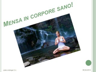 Julia Lindinger V c   06.04.2013
 