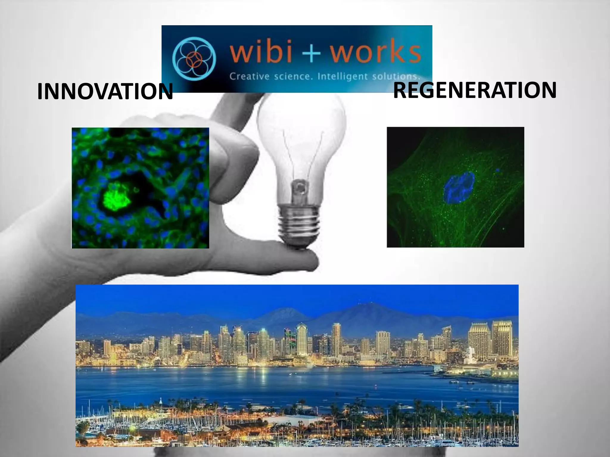 INNOVATION REGENERATION
 