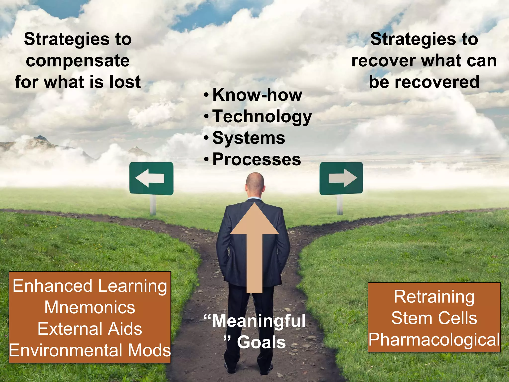 Strategies to
compensate
for what is lost
“Meaningful
” Goals
Strategies to
recover what can
be recovered
•Know-how
•Technology
•Systems
•Processes
Retraining
Stem Cells
Pharmacological
Enhanced Learning
Mnemonics
External Aids
Environmental Mods
 