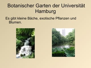 Botanischer Garten der Universit ät Hamburg Es gibt kleine B äche, exotische Pflanzen und Blumen.  