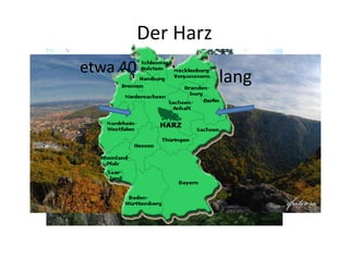Der Harz
etwa 40 km breit
über 100 km lang
 