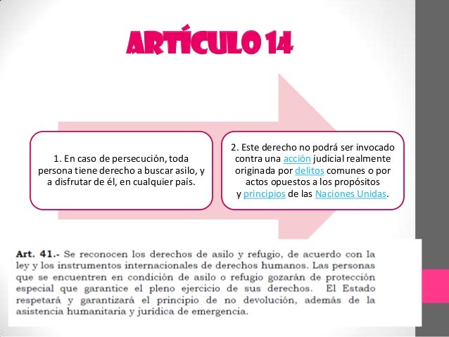 Derechos humanos y la constitucion
