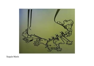 Xaquín Marín
 