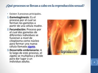 ¿Quéprocesossellevanacaboenlareproducciónsexual?
• Existen 3 procesos principales.
1.Gametogénesis: Es el
proceso por el cual se
forman los gametos a
partir de una célula madre.
2.Fecundación: Proceso por
el cual dos gametos de
diferentes individuos se
fusionan a nivel de
citoplasma como núcleo
para formar una nueva
célula llamada zigoto.
3.Desarrollo embrionario: A
lo largo de este proceso, el
zigoto se multiplica y divide
para dar lugar a un
individuo adulto. 4
 