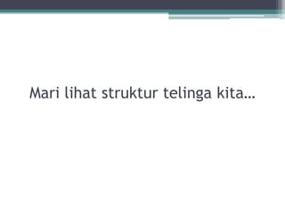 Mari lihat struktur telinga kita…

 
