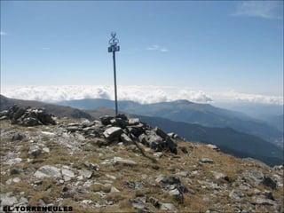 EL TORRENEULES
 