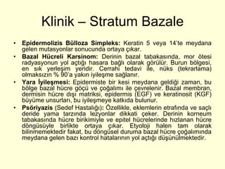 Klinik – Stratum Bazale
• Epidermolizis Bülloza Simpleks: Keratin 5 veya 14’te meydana
  gelen mutasyonlar sonucunda ortaya çıkar.
• Bazal Hücreli Karsinom: Derinin bazal tabakasında, mor ötesi
  radyasyonun yol açtığı hasara bağlı olarak görülür. Burun bölgesi,
  en sık yerleşim yeridir. Cerrahi tedavi ile, nüks (tekrarlama)
  olmaksızın % 90’a yakın iyileşme sağlanır.
• Yara İyileşmesi: Epidermiste bir kesi meydana geldiği zaman, bu
  bölge bazal hücre göçü ve çoğalımı ile çevrelenir. Bazal membran,
  dermisin hücre dışı matriksi, epidermis (EGF) ve keratinosit (KGF)
  büyüme unsurları, bu iyileşmeye katkıda bulunur.
• Psöriyazis (Sedef Hastalığı): Özellikle, eklemlerin etrafında ve saçlı
  deride yama tarzında lezyonlar dikkati çeker. Derinin korneum
  tabakasında hücre birikimiyle ve epitel hücrelerinde hızlanan hücre
  döngüsüyle birlikte ortaya çıkar. Etyoloji halen tam olarak
  bilinmemektedir fakat, bu döngüsel duruma bazal hücre çoğalımında
  meydana gelen bazı kontrol hatalarının yol açtığı düşünülmektedir.
 