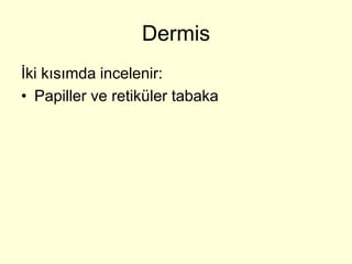 Dermis
İki kısımda incelenir:
• Papiller ve retiküler tabaka
 