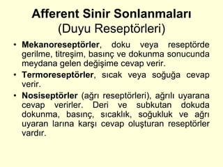 Afferent Sinir Sonlanmaları
        (Duyu Reseptörleri)
• Mekanoreseptörler, doku veya reseptörde
  gerilme, titreşim, basınç ve dokunma sonucunda
  meydana gelen değişime cevap verir.
• Termoreseptörler, sıcak veya soğuğa cevap
  verir.
• Nosiseptörler (ağrı reseptörleri), ağrılı uyarana
  cevap verirler. Deri ve subkutan dokuda
  dokunma, basınç, sıcaklık, soğukluk ve ağrı
  uyaran larına karşı cevap oluşturan reseptörler
  vardır.
 