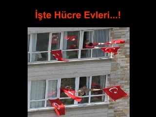 İşte Hücre Evleri...! 
