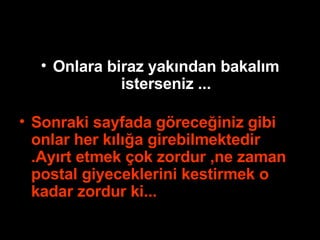 Onlara biraz yakından bakalım isterseniz ... Sonraki sayfada göreceğiniz gibi onlar her kılığa girebilmektedir .Ayırt etmek çok zordur ,ne zaman postal giyeceklerini kestirmek o kadar zordur ki... 