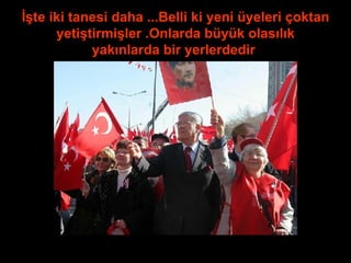 İşte iki tanesi daha ...Belli ki yeni üyeleri çoktan yetiştirmişler .Onlarda büyük olasılık yakınlarda bir yerlerdedir . 