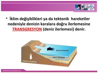 mehmetaliercan@hotmail.com
• İklim değişiklikleri ya da tektonik hareketler
nedeniyle denizin karalara doğru ilerlemesine
TRANSGRESYON (deniz ilerlemesi) denir.
 