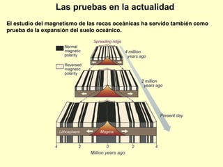En los Continentes Pruebas paleomagnéticas :  Algunas  rocas continentales que guardan fosilizada la dirección del campo magnético, y se encuentran en lugares muy distantes, señalan la misma dirección cuando se unen los continentes.  Las pruebas en la actualidad Campo magnético terrestre Deriva aparente de los polos magnéticos : hoy sabemos que las distintas trayectorias se corresponden con el movimiento de los continentes, ya que los polos registran posiciones más o menos fijas tan sólo alteradas en épocas de inversiones magnéticas. 