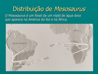 Distribuição de  Mesosaurus O Mesosaurus é um fóssil de um réptil de água doce que aparece na América do Sul e na África.  
