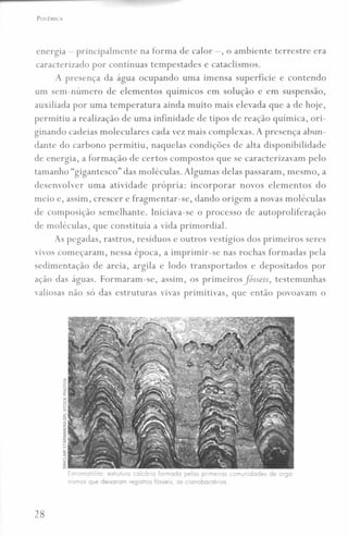 energia - principalmente na forma de calor -, o ambiente terrestre era
caracterizado por contínuas tempestades e cataclismos.
A presença da água ocupando uma imensa superfície e contendo
um sem-número de elementos químicos em solução e em suspensão,
auxiliada por uma temperatura ainda muito mais elevada que a de hoje,
permitiu a realização de uma infinidade de tipos de reação química, ori-
ginando cadeias moleculares cada vez mais complexas. A presença abun-
dante do carbono permitiu, naquelas condições de alta disponibilidade
de energia, a formação de certos compostos que se caracterizavam pelo
tamanho "gigantesco" das moléculas. Algumas delas passaram, mesmo, a
desenvolver uma atividade própria: incorporar novos elementos do
meio e, assim, crescer e fragmentar-se, dando origem a novas moléculas
de composição semelhante. Iniciava-se o processo de autoproliferação
de moléculas, que constituía a vida primordial.
As pegadas, rastros, resíduos e outros vestígios dos primeiros seres
vivos começaram, nessa época, a imprimir-se nas rochas formadas pela
sedimentação de areia, argila e lodo transportados e depositados por
ação das águas. Formaram-se, assim, os primeiros fósseis, testemunhas
valiosas não só das estruturas vivas primitivas, que então povoavam o
Estromotólito: estruturo colcória formoda pelos primeiros comunidades de orga'
rusrnos que deixaram registros fósseis, os cianobactérios.
28
 