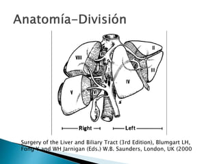 Surgery of the Liver and Biliary Tract (3rd Edition), Blumgart LH,
Fong Y and WH Jarnigan (Eds.) W.B. Saunders, London, UK (2000
 
