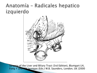 Surgery of the Liver and Biliary Tract (3rd Edition), Blumgart LH,
Fong Y and WH Jarnigan (Eds.) W.B. Saunders, London, UK (2000
 