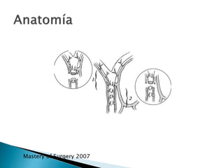 Mastery of Surgery 2007
 