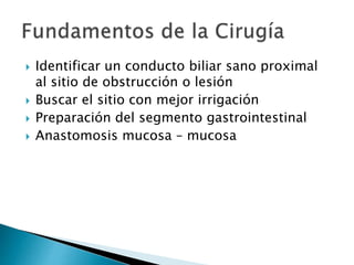 Identificar un conducto biliar sano proximal
al sitio de obstrucción o lesión
 Buscar el sitio con mejor irrigación
 Preparación del segmento gastrointestinal
 Anastomosis mucosa – mucosa
 