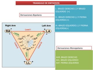 TRIANGULO DE EINTHOVEN

                              I.- BRAZO DERECHO (-) Y BRAZO
                              IZQUIERDO (+)
Derivaciones Bipolares
                              II.- BRAZO DERECHO (-) Y PIERNA
                              IZQUIERDA (+)

                              III.-BRAZO IZQUIERDO (-) Y PIERNA
                              IZQUIERDA(+)




                                Derivaciones Monopolares


                               AVR: BRAZO DERECHO
                               AVL: BRAZO IZQUIERDO
                               AVF: PIERNA IZQUIERDA
 