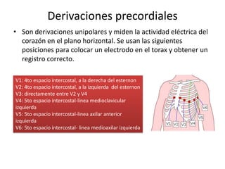 Derivaciones precordiales
• Son derivaciones unipolares y miden la actividad eléctrica del
corazón en el plano horizontal. Se usan las siguientes
posiciones para colocar un electrodo en el torax y obtener un
registro correcto.
V1: 4to espacio intercostal, a la derecha del esternon
V2: 4to espacio intercostal, a la izquierda del esternon
V3: directamente entre V2 y V4
V4: 5to espacio intercostal-línea medioclavicular
izquierda
V5: 5to espacio intercostal-linea axilar anterior
izquierda
V6: 5to espacio intercostal- linea medioaxilar izquierda
 