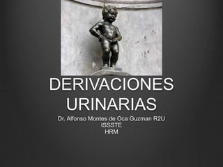 DERIVACIONES
URINARIAS
Dr. Alfonso Montes de Oca Guzman R2U
ISSSTE
HRM
 