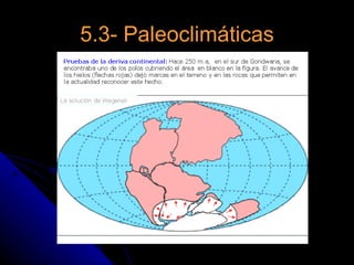 5.3- Paleoclimáticas
 