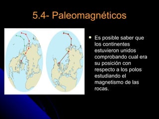 5.4- Paleomagnéticos

              Es posible saber que
               los continentes
               estuvieron unidos
               comprobando cual era
               su posición con
               respecto a los polos
               estudiando el
               magnetismo de las
               rocas.
 