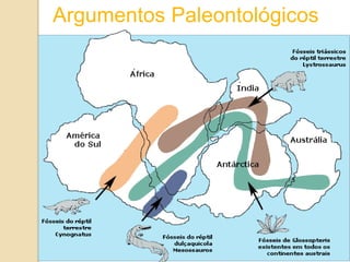 Argumentos Paleontológicos
 