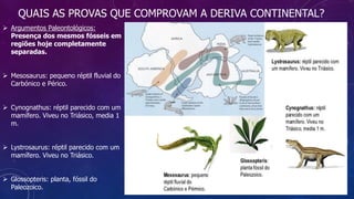 QUAIS AS PROVAS QUE COMPROVAM A DERIVA CONTINENTAL?
 Argumentos Paleontológicos:
Presença dos mesmos fósseis em
regiões hoje completamente
separadas.
 Mesosaurus: pequeno réptil fluvial do
Carbónico e Périco.
 Cynognathus: réptil parecido com um
mamífero. Viveu no Triásico, media 1
m.
 Lystrosaurus: réptil parecido com um
mamífero. Viveu no Triásico.
 Glossopteris: planta, fóssil do
Paleozoico.
 