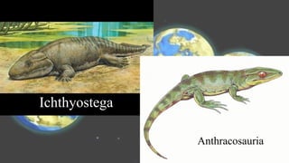 Ichthyostega
Anthracosauria
 