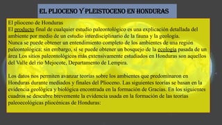 el Plioceno y Pleistoceno en Honduras
El plioceno de Honduras
El producto final de cualquier estudio paleontológico es una explicación detallada del
ambiente por medio de un estudio interdisciplinario de la fauna y la geología.
Nunca se puede obtener un entendimiento completo de los ambientes de una región
paleontológica; sin embargo, sí se puede obtener un bosquejo de la ecología pasada de un
área Los sitios paleontológicos más extensivamente estudiados en Honduras son aquellos
del Valle del río Mejocote, Departamento de Lempira.
Los datos nos permiten avanzar teorías sobre los ambientes que predominaron en
Honduras durante mediados y finales del Plioceno. Las siguientes teorías se basan en la
evidencia geológica y biológica encontrada en la formación de Gracias. En los siguientes
cuadros se descubre brevemente la evidencia usada en la formación de las teorías
paleoecológicas pliocénicas de Honduras:
 
