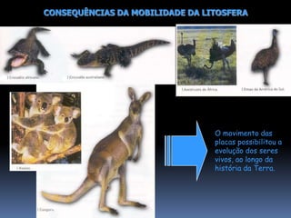  Este movimento ocorre continuamente e é conhecido por correntes de convecção (1, 2, 3 e 4). DEFORMAÇÕES DA LITOSFERA