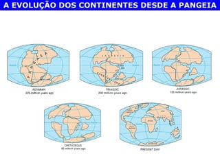 A EVOLUÇÃO DOS CONTINENTES DESDE A PANGEIA
 
