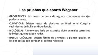 Las pruebas que aportó Wegener:
• GEOGRÁFICAS: Las líneas de costa de algunos continentes encajan
perfectamente.
• CLIMÁTICAS: Existen restos de glaciares en Brasil o el Congo y
yacimientos de hulla en Groenlandia.
• BIOLÓGICAS: A uno y otro lado del Atlántico viven animales terrestres
idénticos que no saben nadar.
• PALEONTOLÓGICAS: Existen fósiles de animales y plantas iguales en
las dos costas que bordean el océano Atlántico
 