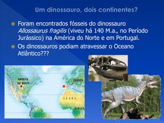 Um dinossauro, dois continentes?Foram encontrados fósseis do dinossauro Allossaurusfragilis(viveu há 140 M.a., no Período Jurássico) na América do Norte e em Portugal.Os dinossauros podiam atravessar o Oceano Atlântico???