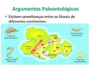 Argumentos Paleontológicos
• Existem semelhanças entre os fósseis de
  diferentes continentes.
 