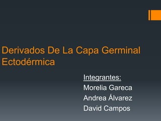 Derivados De La Capa Germinal
Ectodérmica
Integrantes:
Morelia Gareca
Andrea Álvarez
David Campos
 