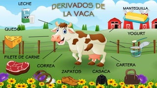 Derivados de la vaca