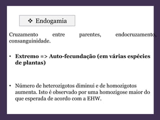  Endogamia 
Cruzamento entre parentes, endocruzamento, 
consanguinidade. 
• Extremo => Auto-fecundação (em várias espécies 
de plantas) 
• Número de heterozigotos diminui e de homozigotos 
aumenta. Isto é observado por uma homozigose maior do 
que esperada de acordo com a EHW. 
 