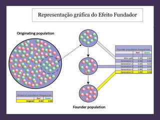 Representação gráfica do Efeito Fundador 
 