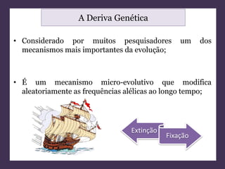 A Deriva Genética 
• Considerado por muitos pesquisadores um dos 
mecanismos mais importantes da evolução; 
• É um mecanismo micro-evolutivo que modifica 
aleatoriamente as frequências alélicas ao longo tempo; 
Extinção 
Fixação 
 