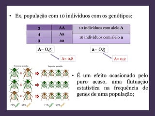 • Ex. população com 10 indivíduos com os genótipos: 
3 AA 10 indivíduos com alelo A 
4 Aa 
10 indivíduos com alelo a 
3 aa 
A= O,5 a= O,5 
A= 0,8 A= 0,2 
• É um efeito ocasionado pelo 
puro acaso, uma flutuação 
estatística na frequência de 
genes de uma população; 
 
