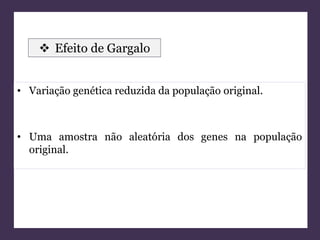  Efeito de Gargalo 
• Variação genética reduzida da população original. 
• Uma amostra não aleatória dos genes na população 
original. 
 
