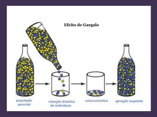 Efeito de Gargalo 
 