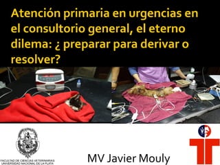 MV Javier Mouly
 